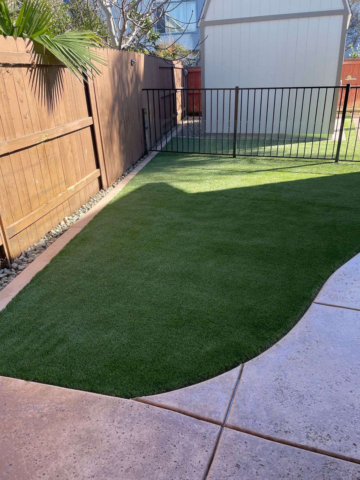 Side-yard turf and concrete